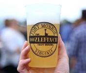 The Oozlefinch Craft Brewery