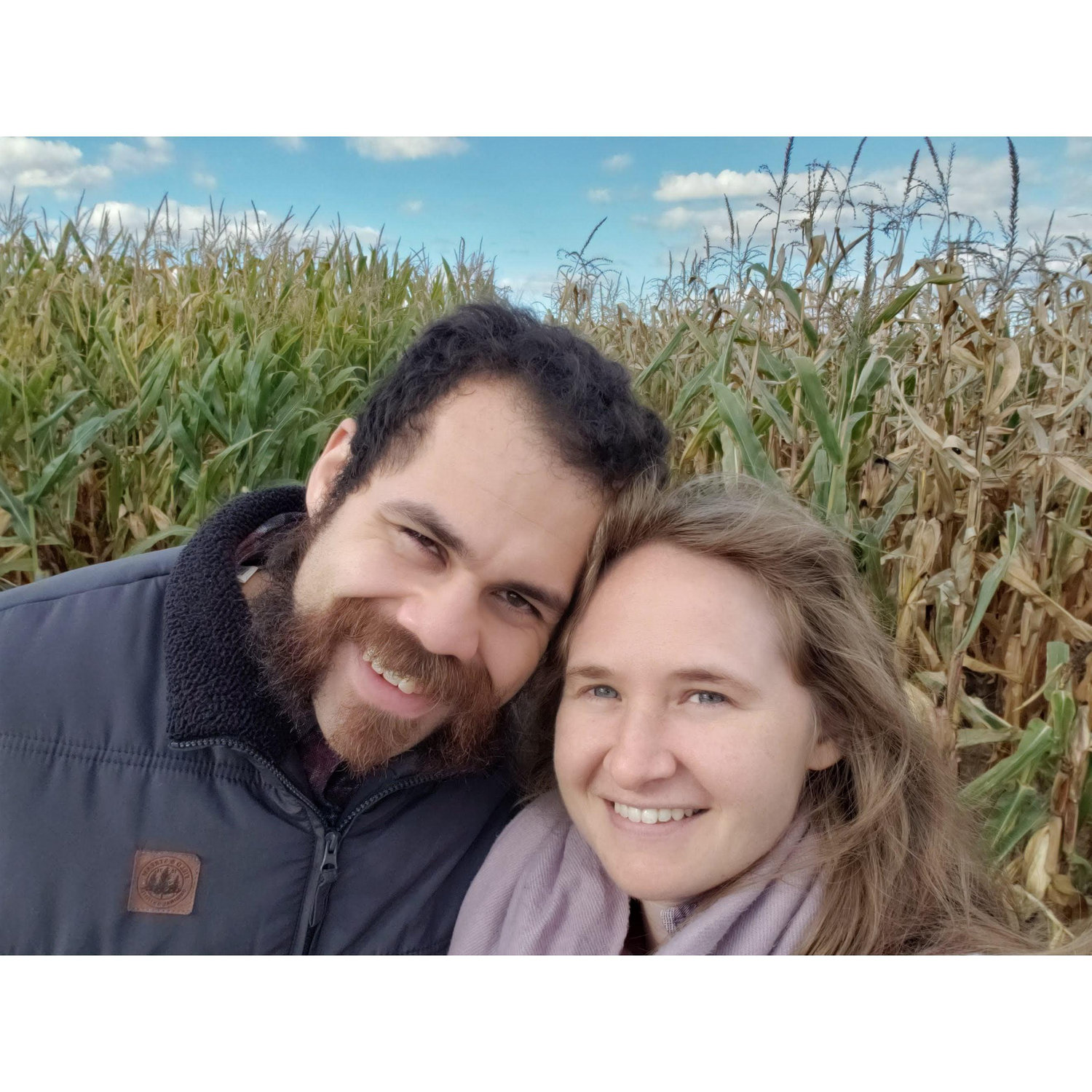 Corn Maze