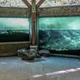 Underwater Fish Viewing Chamber