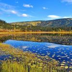 Lily Pad Lake Trail Head