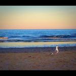 Jenness Beach