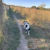 Heritage Dog Park