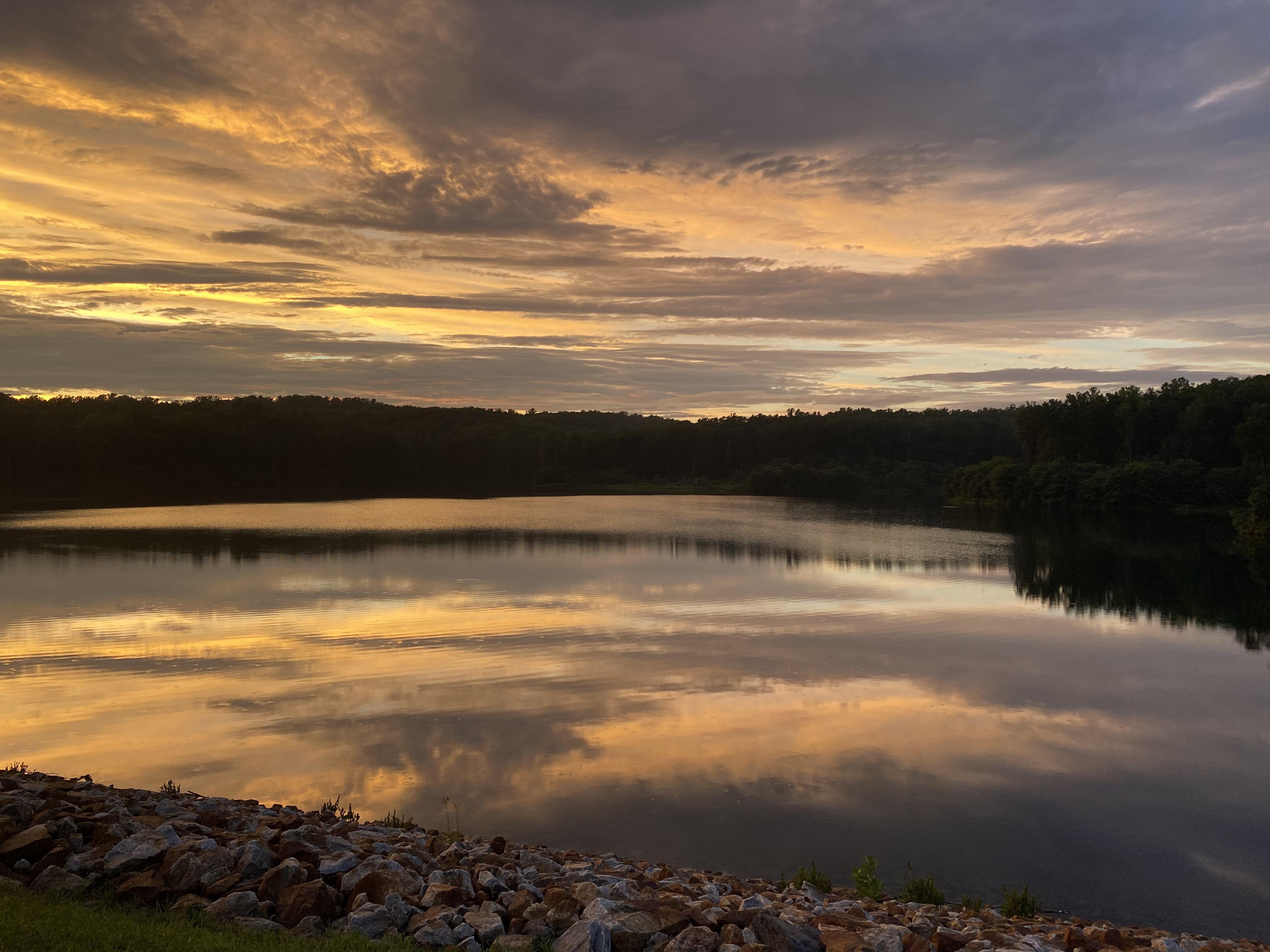 The Wedding Website of Madeline Grygiel and Christina Saunders
