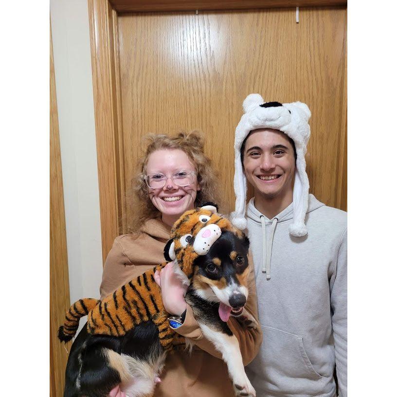 First Halloween dressing up (we are lions and tigers and bears...oh my)