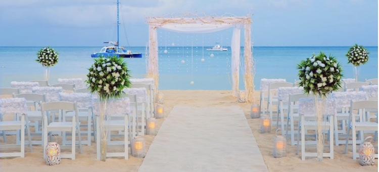 The Wedding Website of Tina Provenzano and Angelo Palmieri