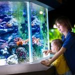 South Carolina Aquarium