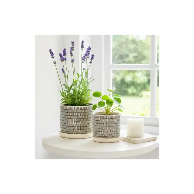 Ceramic Planters for Home Decor - Plant Pots for Indoor or Outdoor - Modern Plant Stands for Garden and Patio - Set of 2 - 8", 6" Ivory & Tan