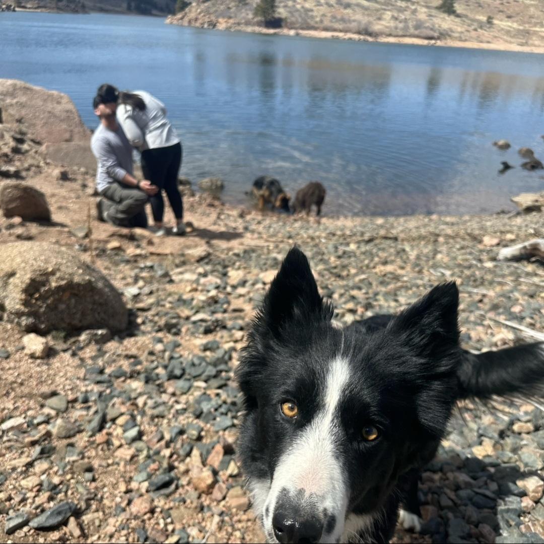 Colin proposing North Crow, Wy 2024
