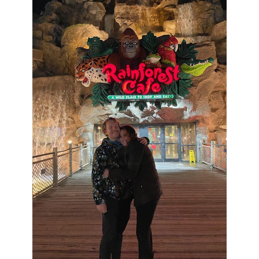 Our first time at Rainforest Cafe