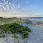 Cape Cod National Seashore