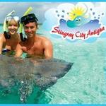 Stingray City Antigua