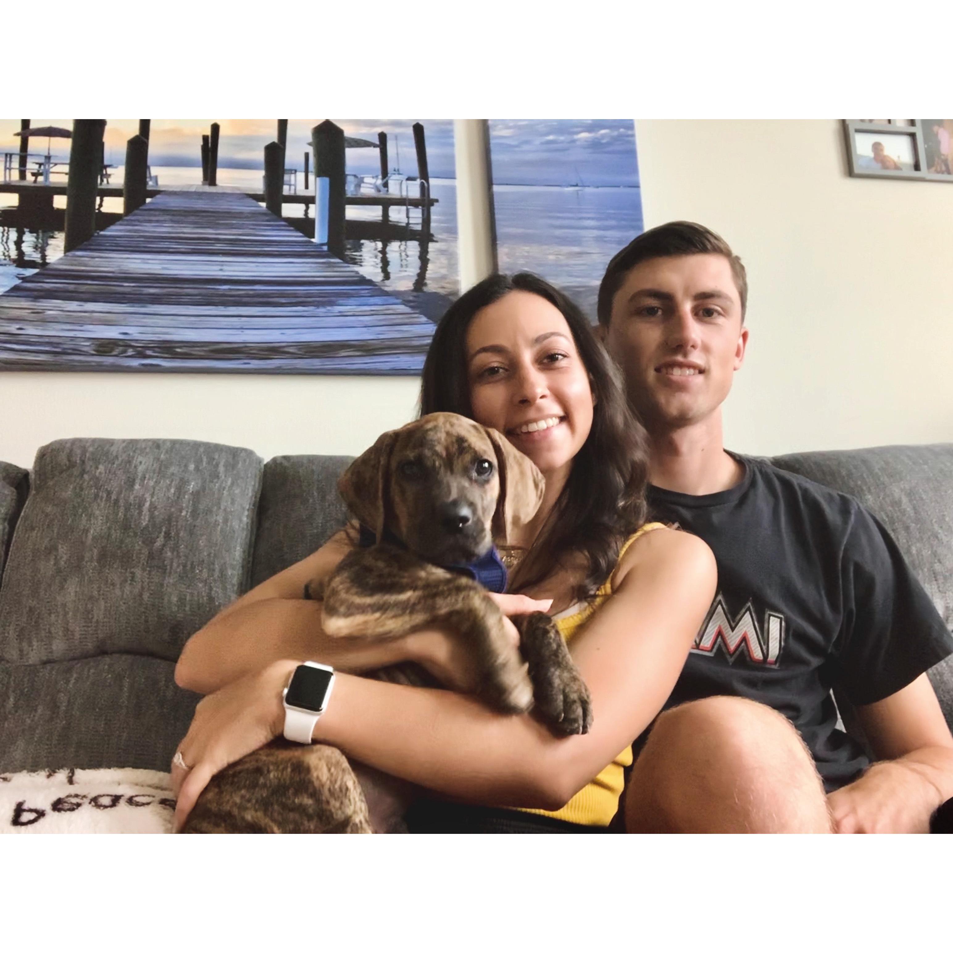 Our puppy, Izzo!