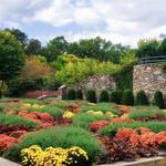 The North Carolina Arboretum
