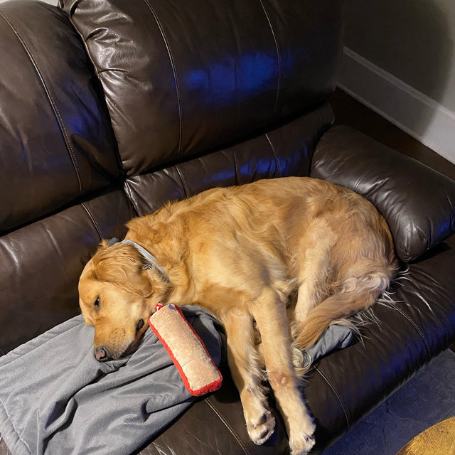 Couch Fund