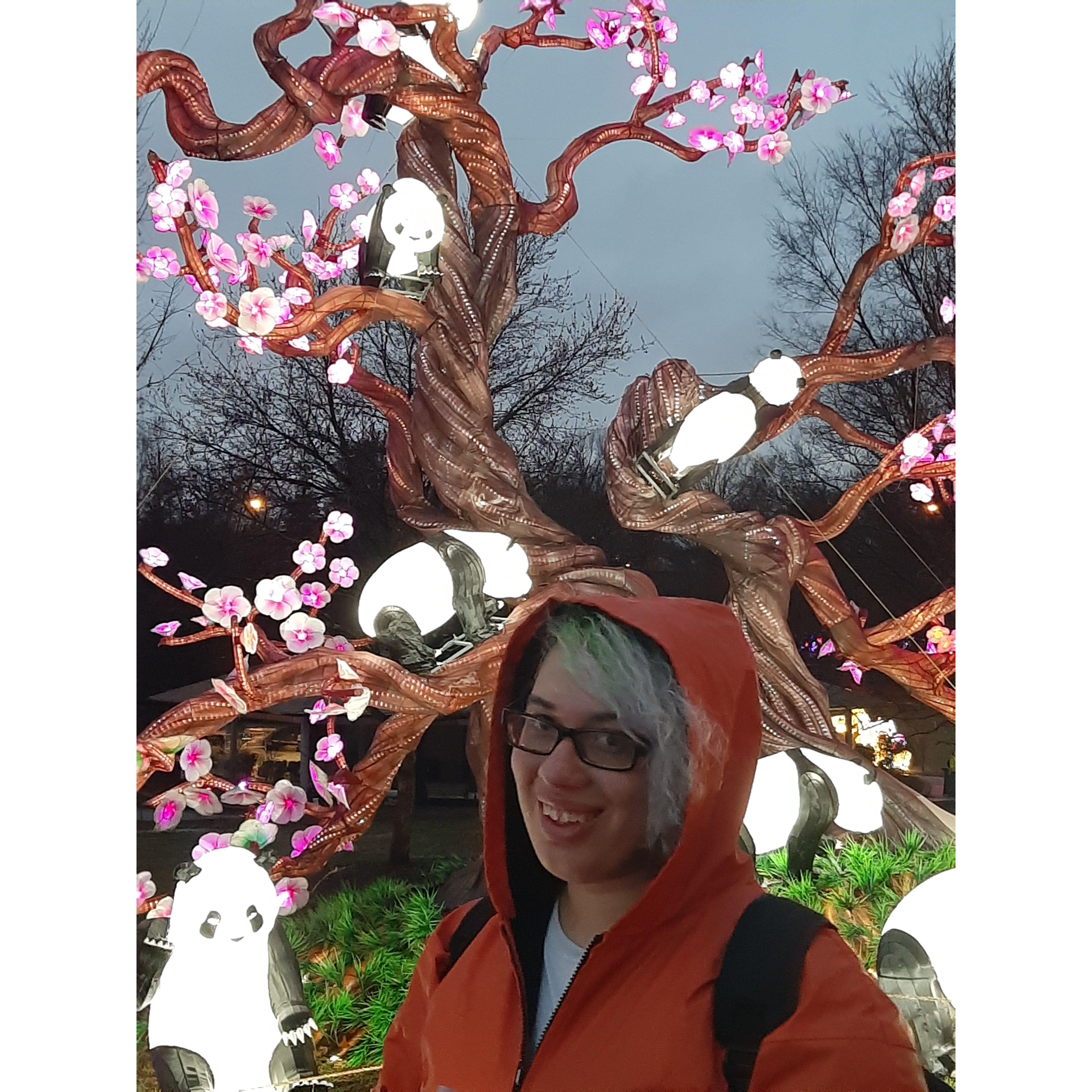 Love by the lanterns.