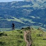Pleasanton Ridge Regional Park - Castleridge Trailhead Parking