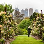 Royal Botanic Gardens Victoria - Melbourne Gardens