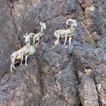 Historic Railroad Hiking Trail