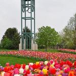 Reiman Gardens
