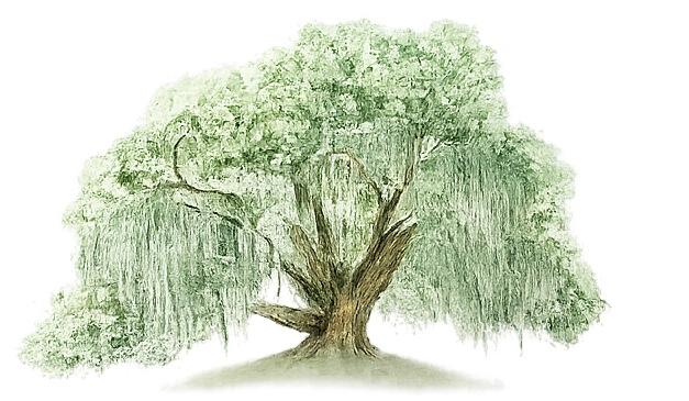 The Wedding Website of Sophie Anna Gustafson and Preston Lee Smith