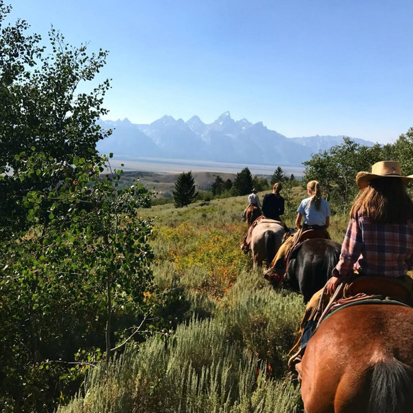 Horseback Riding On Our Honeymoon @Yellowstone