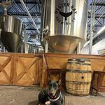 Oyster Bay Brewing Company