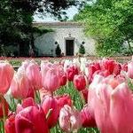 The Dallas Arboretum and Botanical Garden