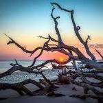 Big Talbot Island State Park