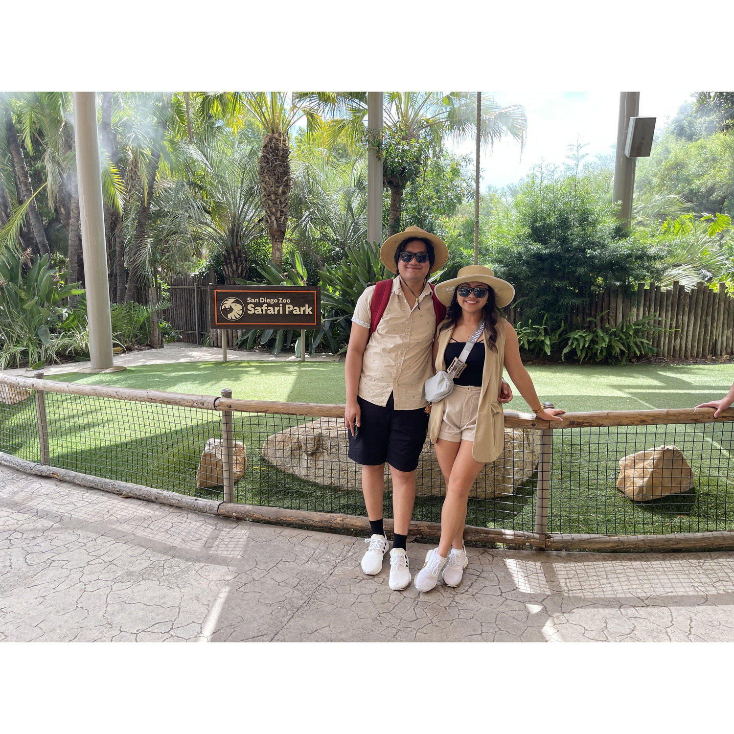 San Diego Safari