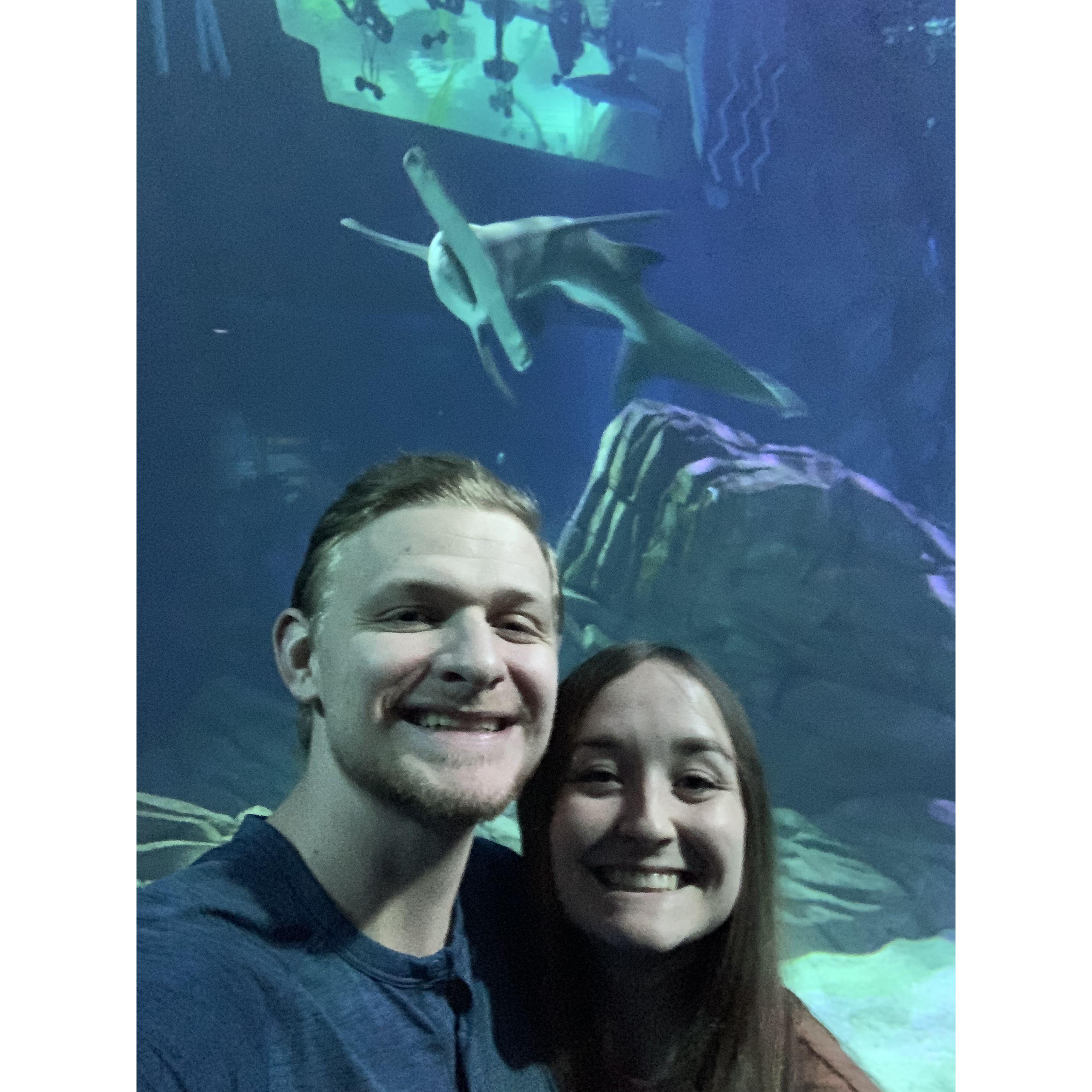At the Georgia Aquarium!