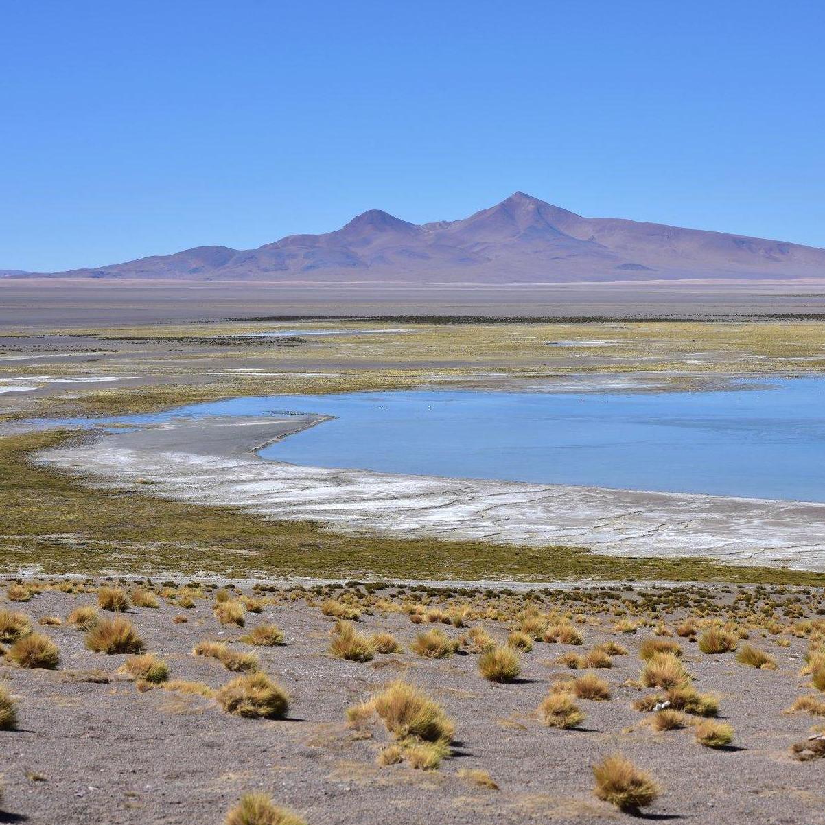 Atacama Desert

April 2018