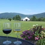 King Family Vineyards