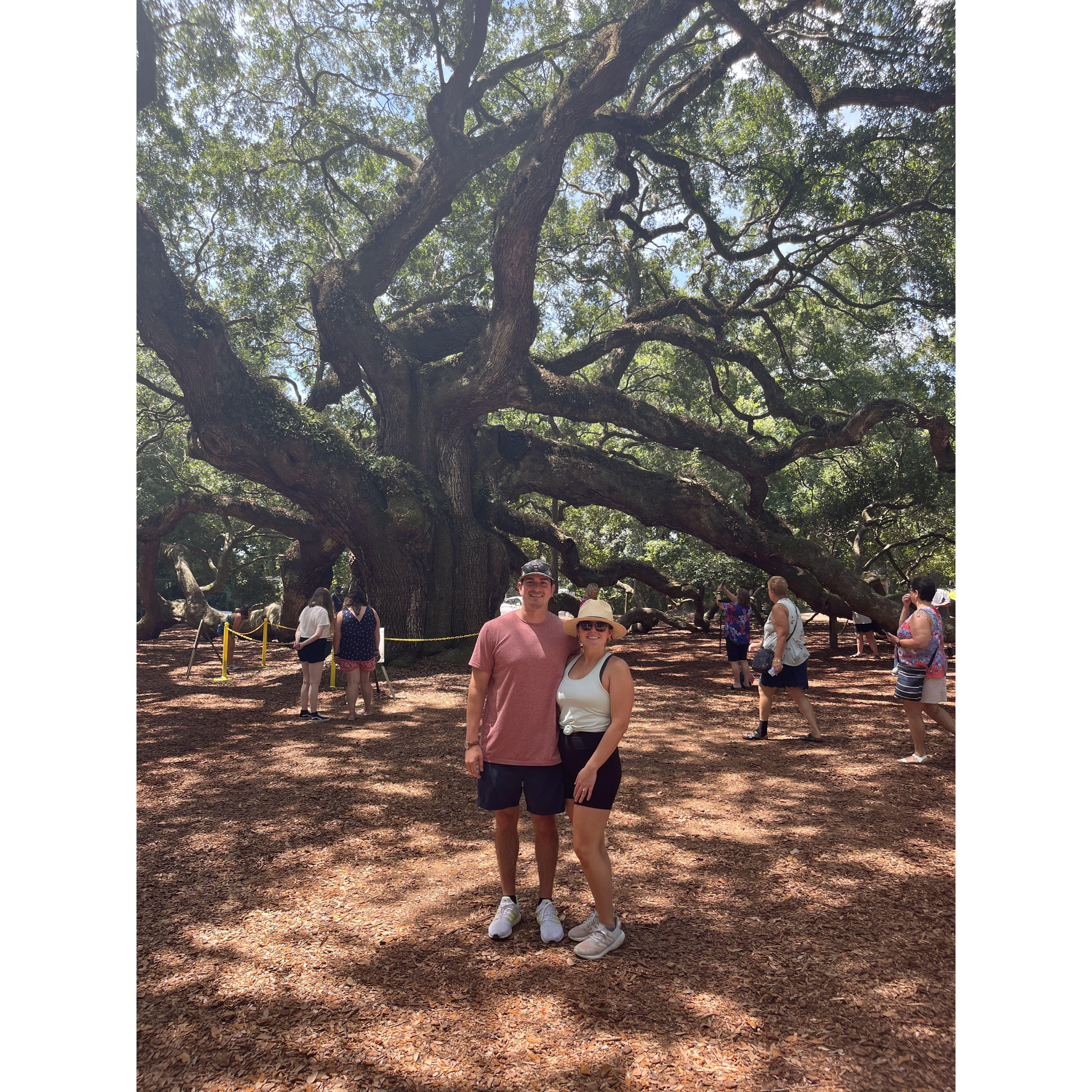 Angel Oak Tree SC, weekend we got engaged 