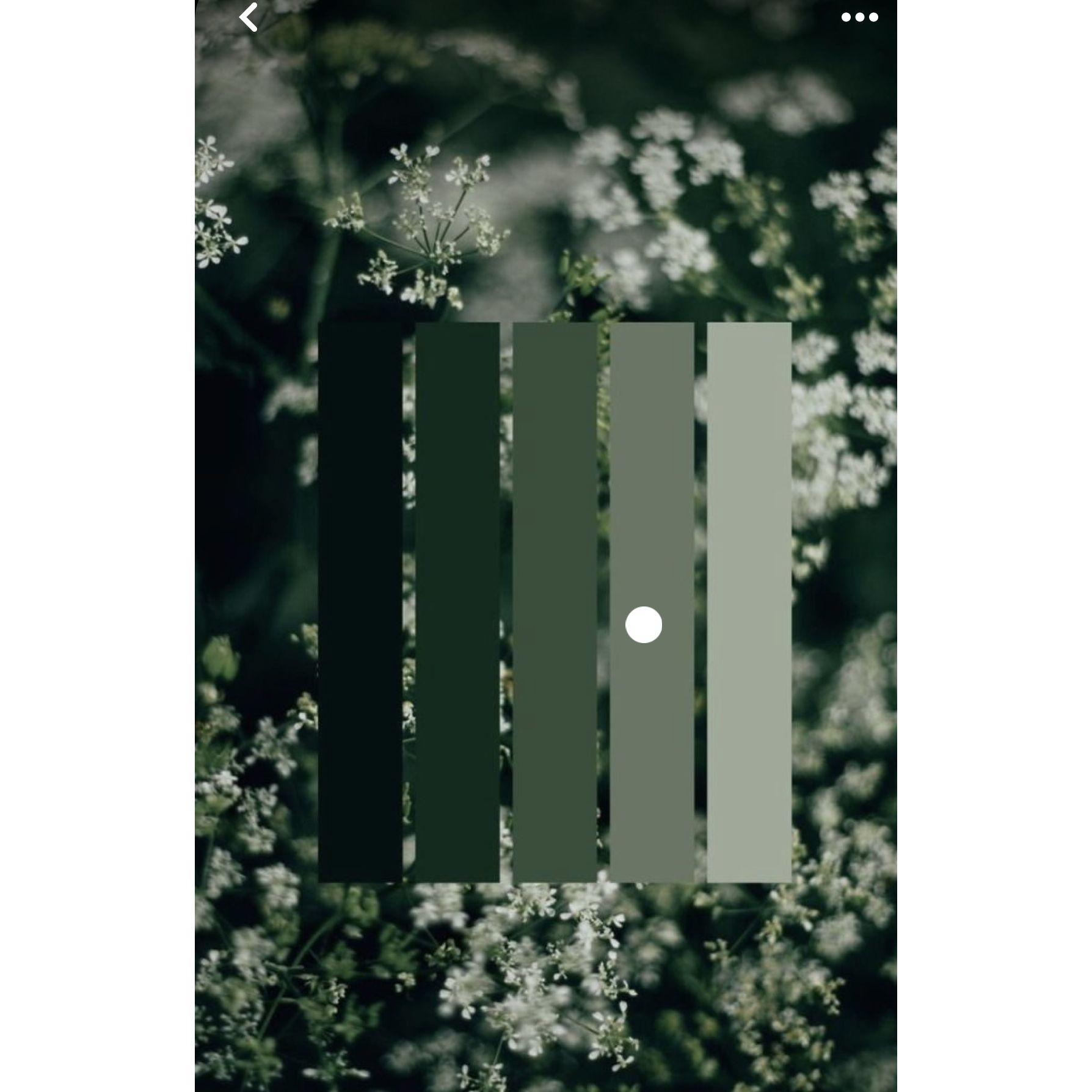 Our wedding colors