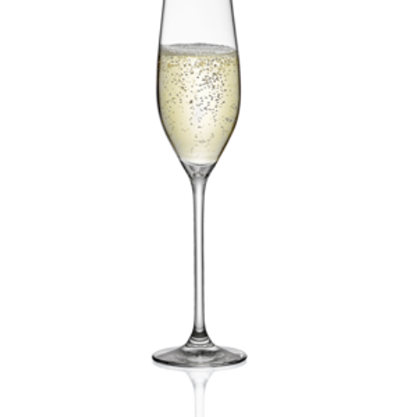 RONA Celebration Champagne Flute - RONA USA