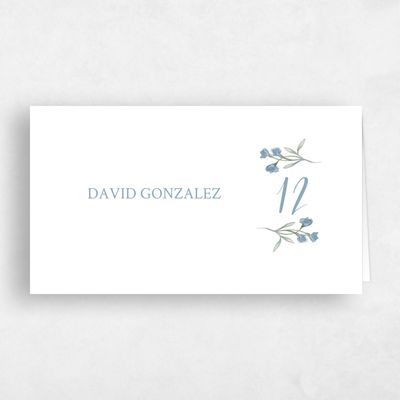 Blue Wedding Place Card - Wilbur