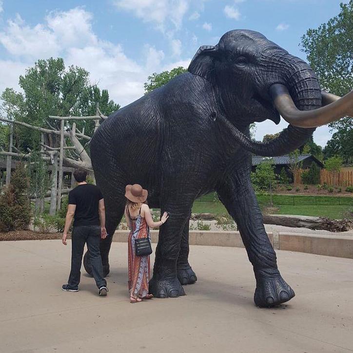 Adventures at the zoo