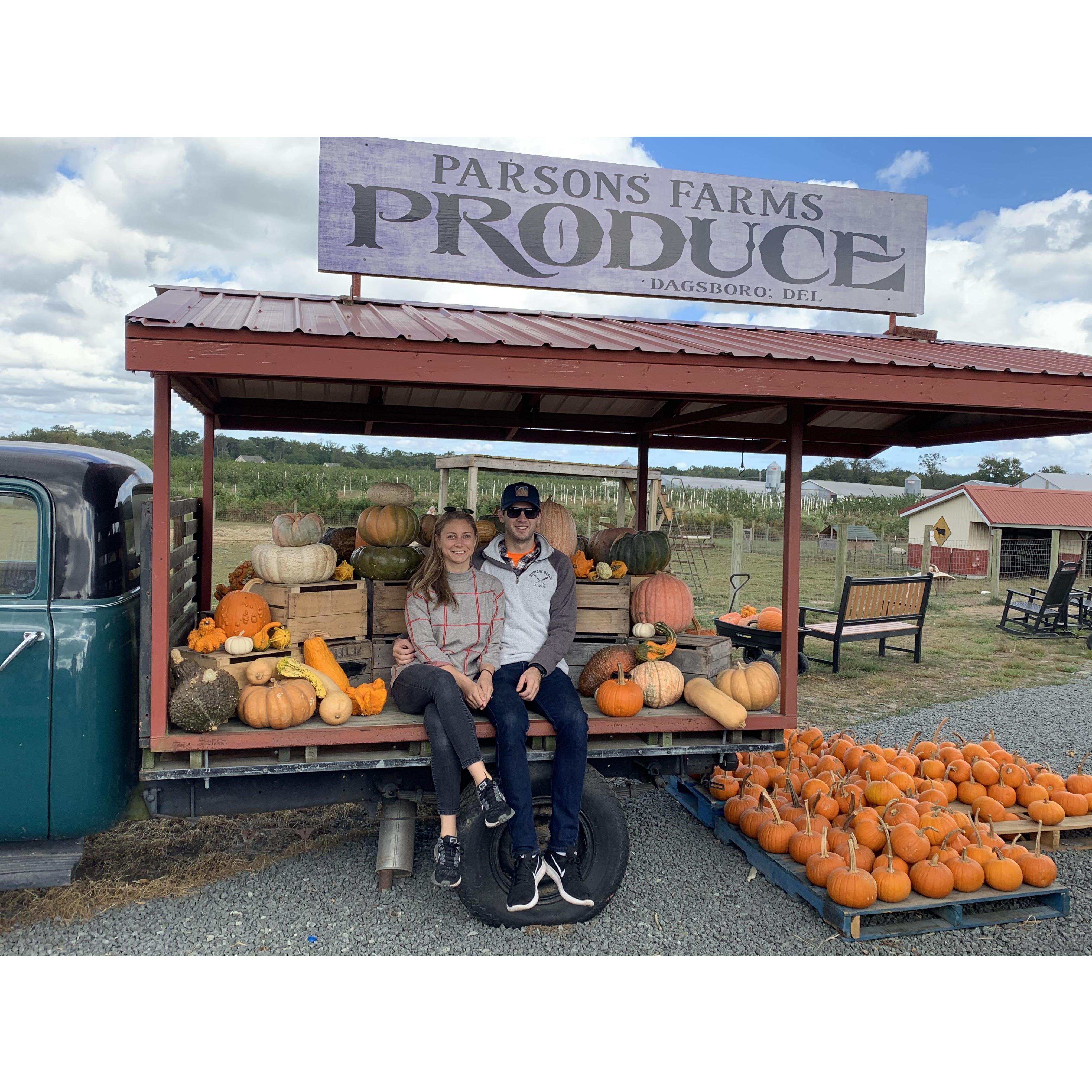 Pumpkin Picking in Delaware