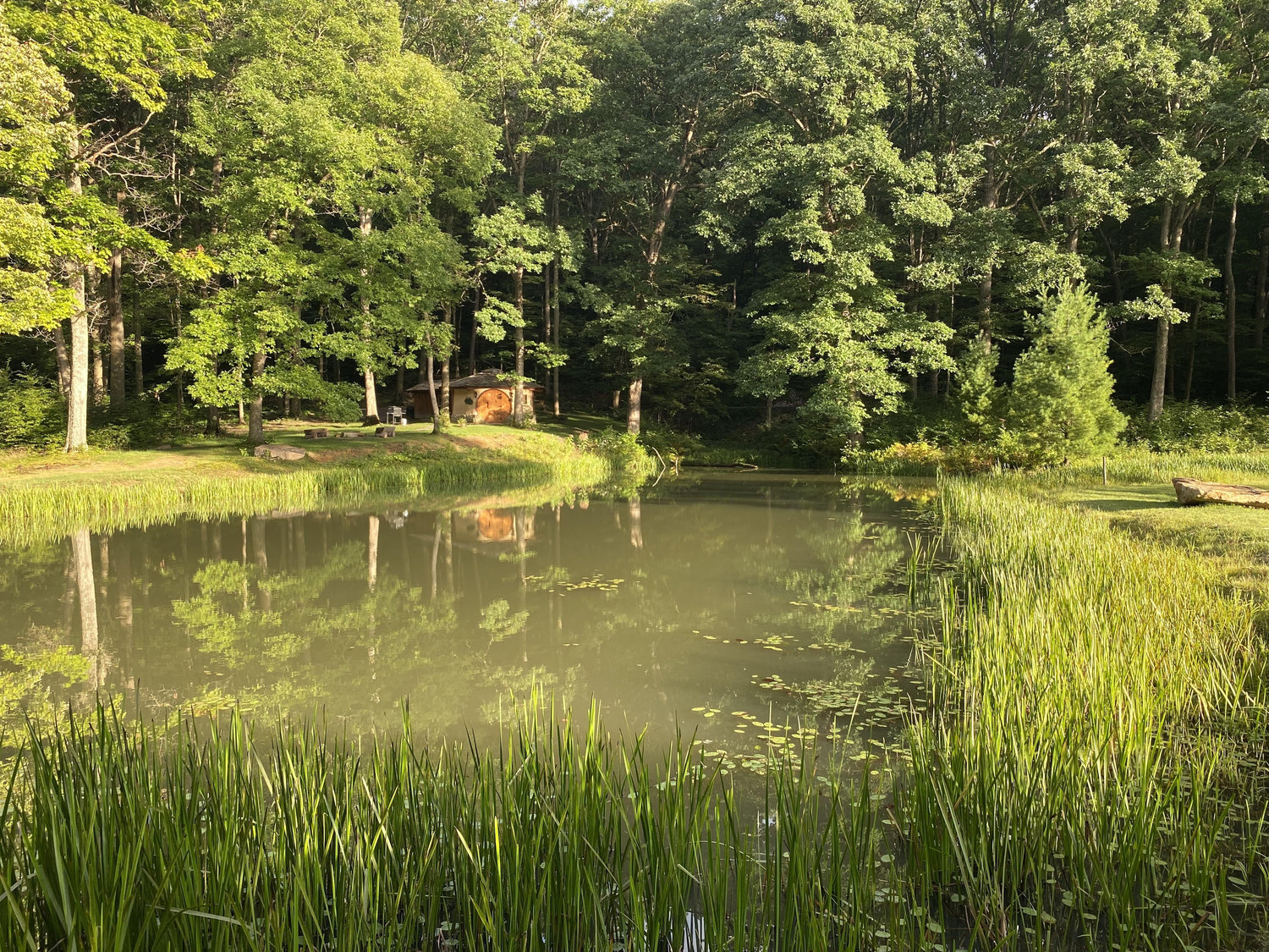The Wedding Website of Connor Mulvaney and Christine Manganas
