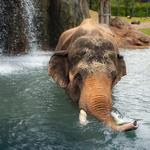 Fort Worth Zoo
