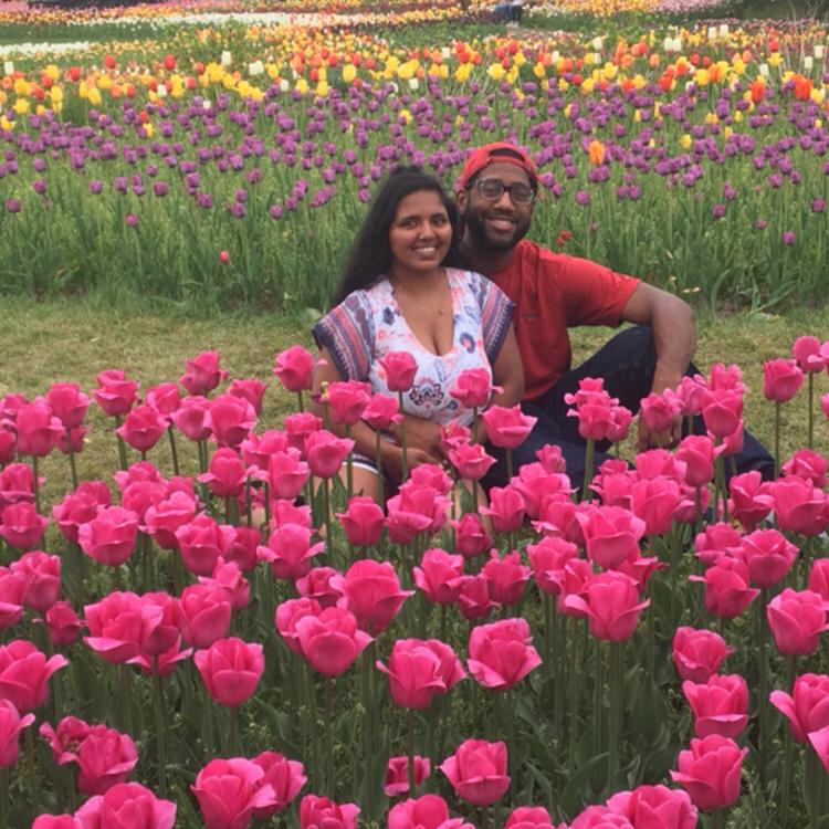 Our First time at Tulip time in Holland🌷.
~ 5-11-2022~