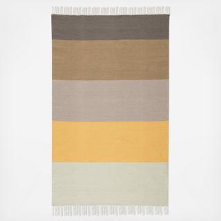 Swane Indoor/Outdoor Stripe Area Rug