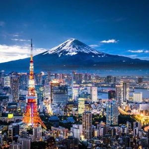 Honeymoon Trip to Japan