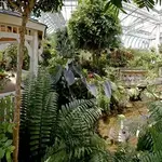 The Key West Butterfly and Nature Conservatory