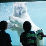 Point Defiance Zoo & Aquarium