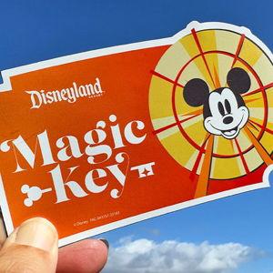 1 Year Disneyland Resort Annual Pass for 2