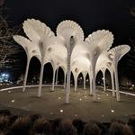 Bellevue Downtown Park