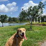 City Park
