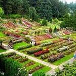 Rose Park-International Rose Test Garden