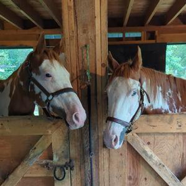 Our Farm Fund